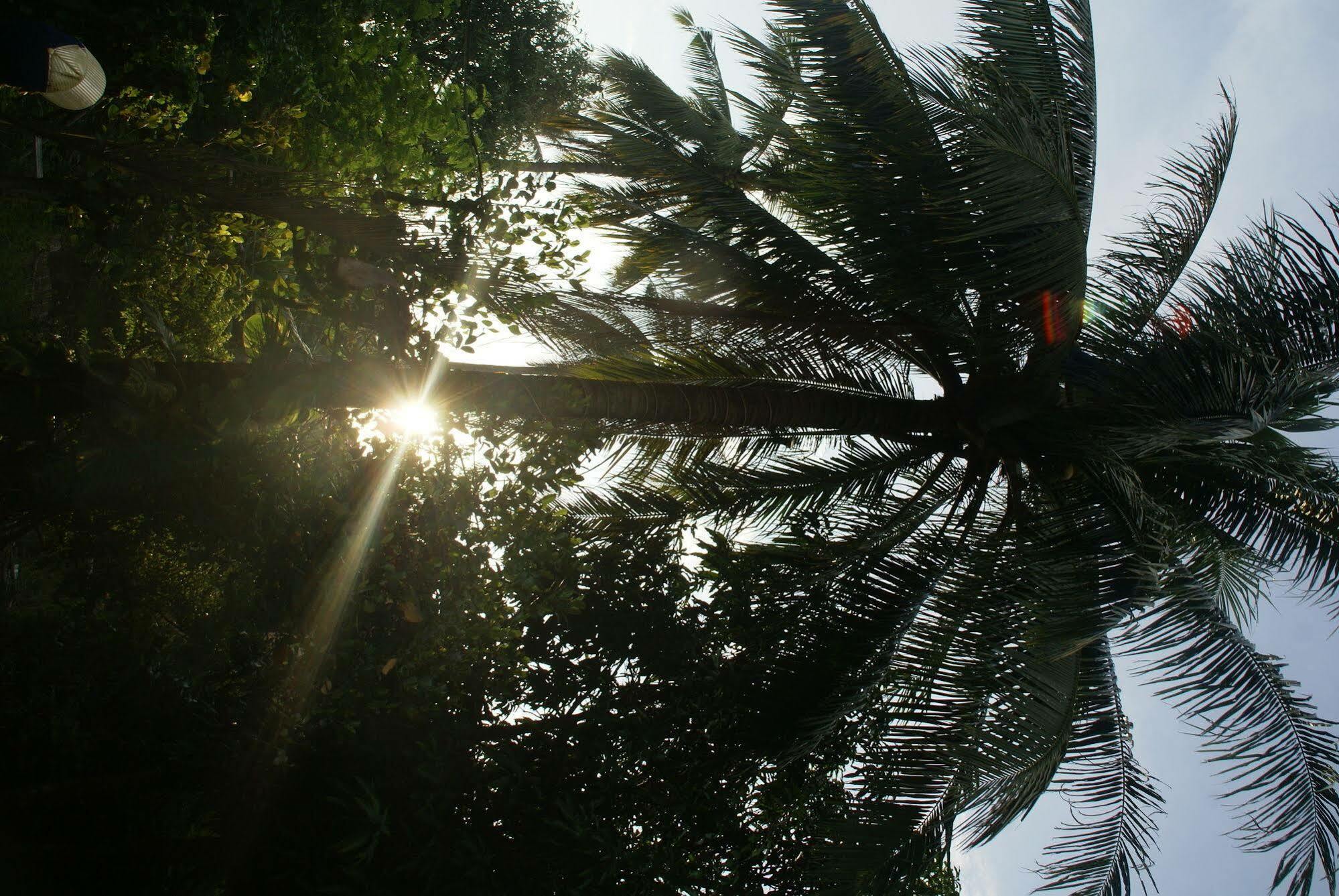 Paradise Eco Resort - Siem Reap Exterior photo